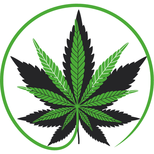 About HydroBudz - Hydroponic Cannabis Retail Center in Brooklyn MI